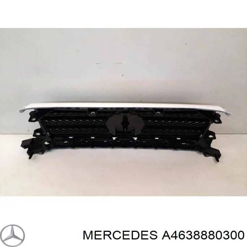 A4638880300 Mercedes 