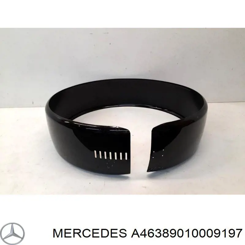  A46389010009197 Mercedes