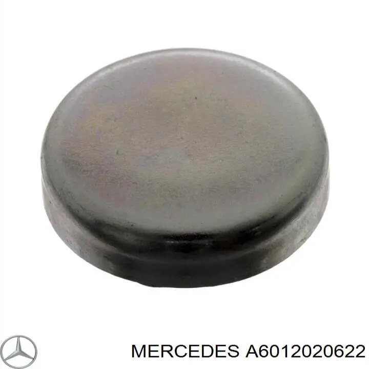 A6012020622 Mercedes 