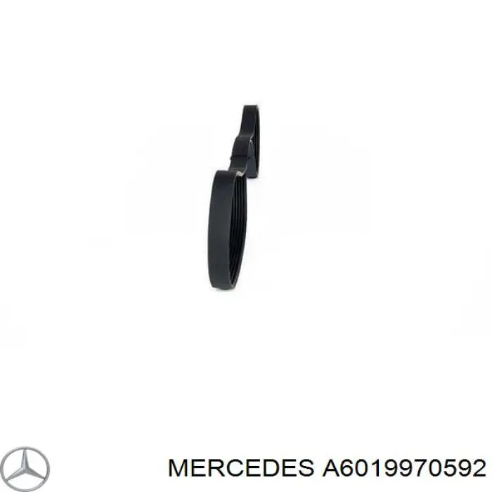 Клиновый ремень Mercedes A6019970592 цена, от 7.55 USD
