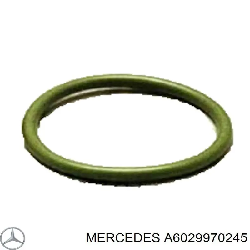 6029970245 Mercedes 