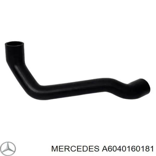 6040160181 Mercedes cano derivado de ventilação de cárter (de separador de óleo)
