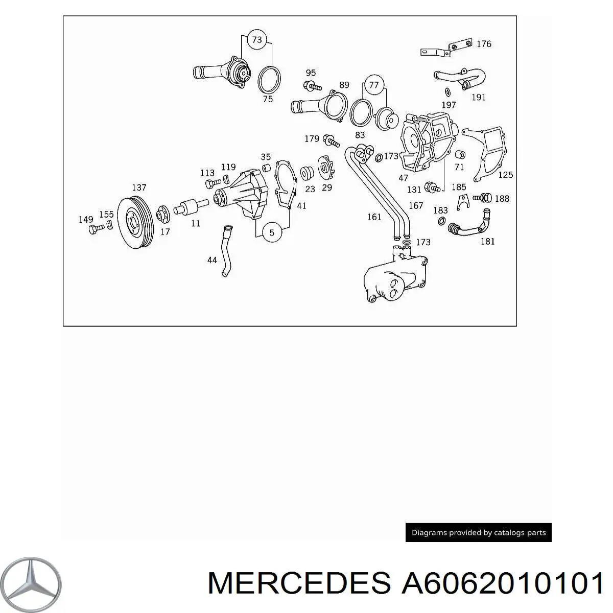 6062010101 Mercedes 