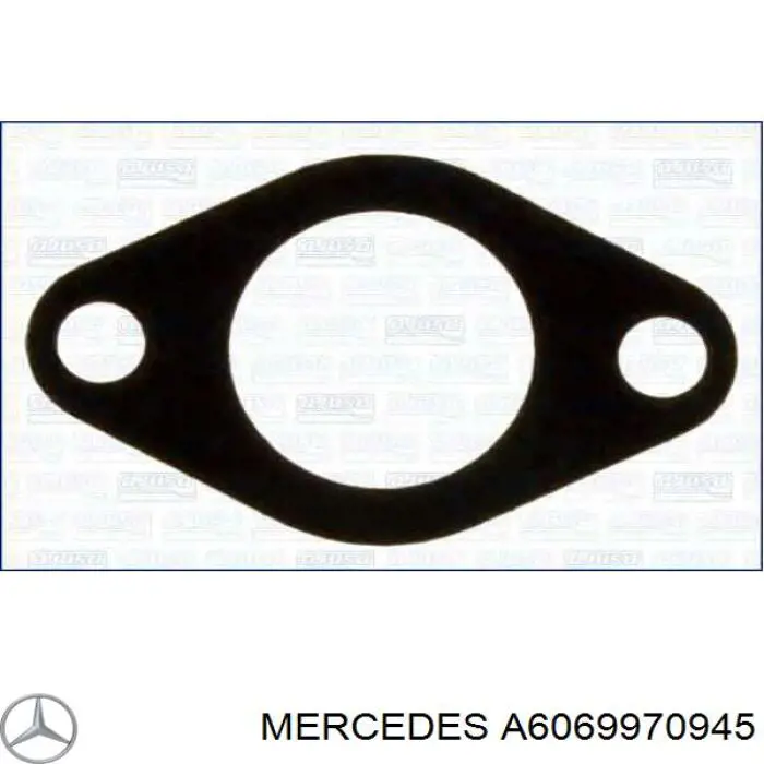 Кольцо уплотнительное масляного теплообменника на Mercedes G (W463)