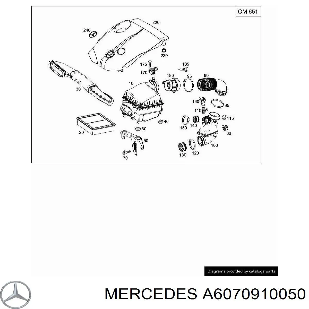 A6070910050 Mercedes 