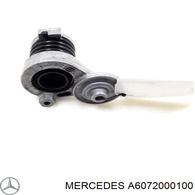 A6072000100 Mercedes 