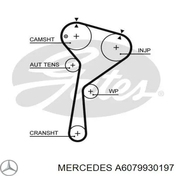 A6079930197 Mercedes комплект грм