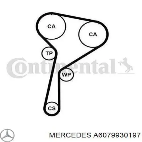 ГРМ ремни, комплект Mercedes A6079930197 цена, от 116.90 USD