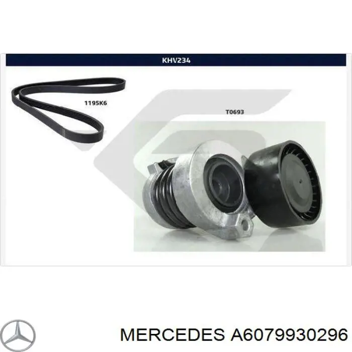 7711946465 RENAULT Correa de transmisión original y equivalente