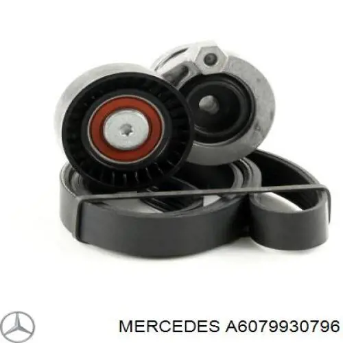  A6079930796 Mercedes