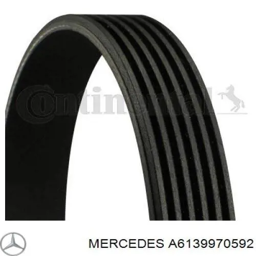 Клиновый ремень Mercedes A6139970592 цена, от 18.90 USD