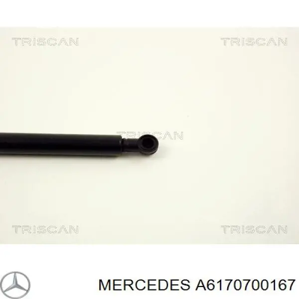 Демпфер-амортизатор ТНВД Mercedes 6175860007