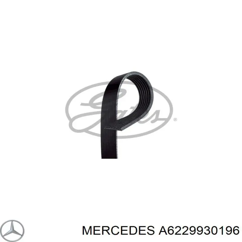 A6229930196 Mercedes