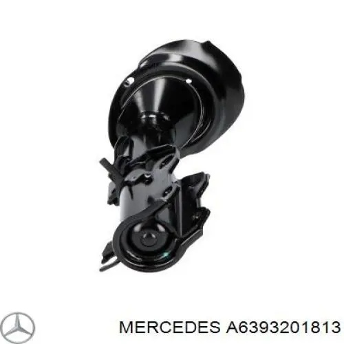 A6393201813 Mercedes амортизатор передний