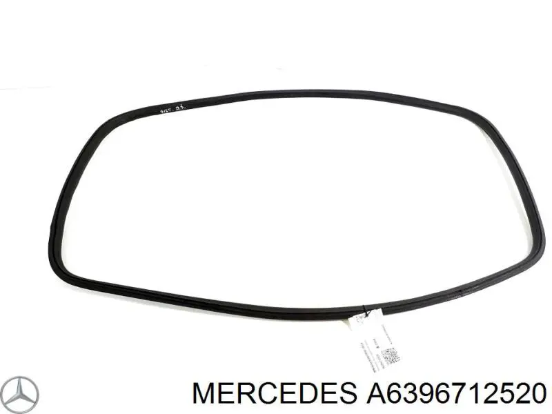  A6396712520 Mercedes