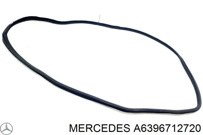 A6396712720 Mercedes 