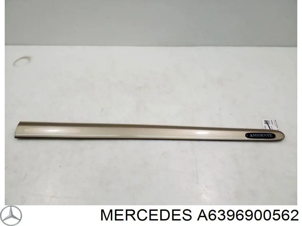 Moldura da porta dianteira direita para Mercedes Vito (639)