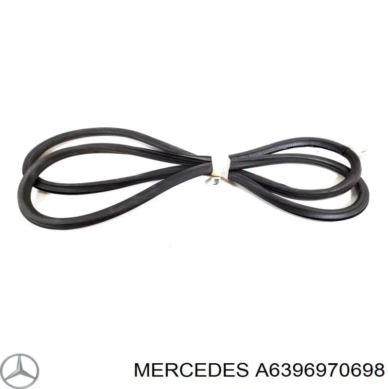 Уплотнитель двери передней левой (на кузове) Mercedes A6396970698 цена, от 18.62 USD