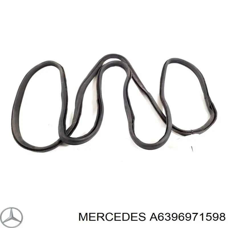 A6396971598 Mercedes 