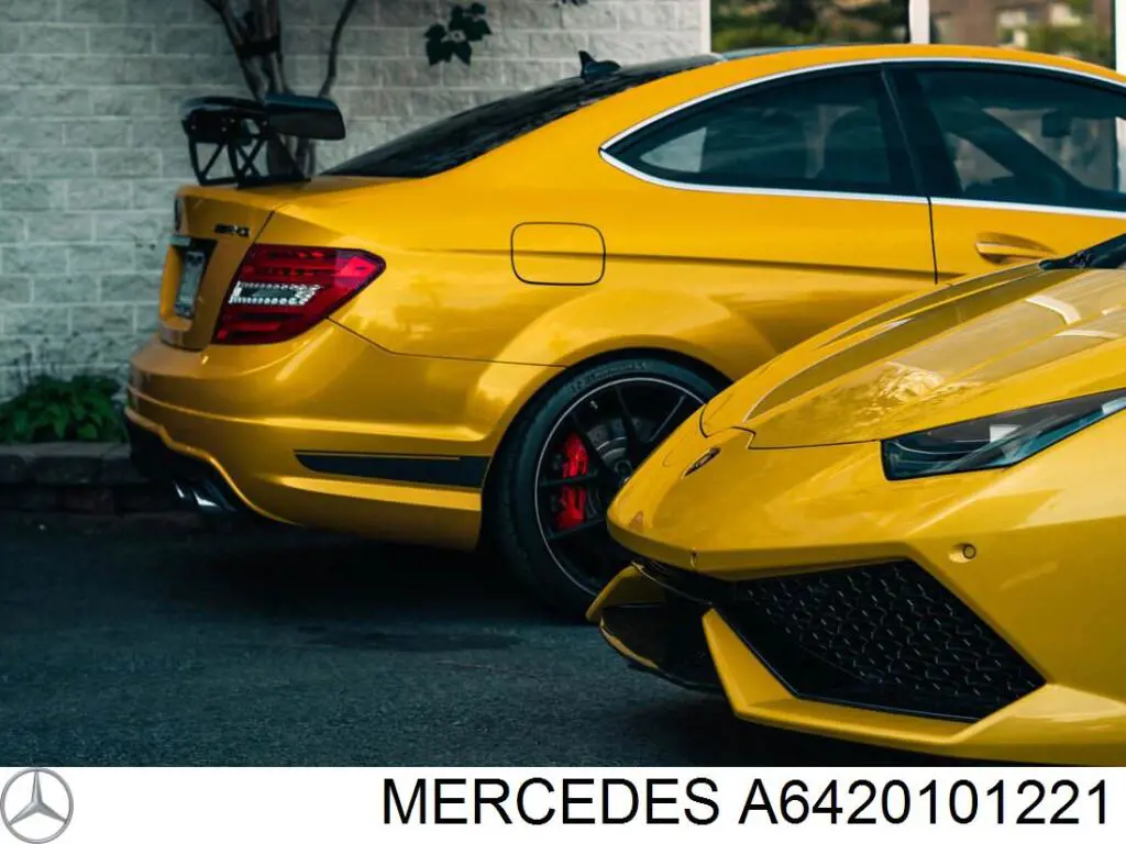 A6420101221 Mercedes Головка блока цилиндров (ГБЦ) правая
