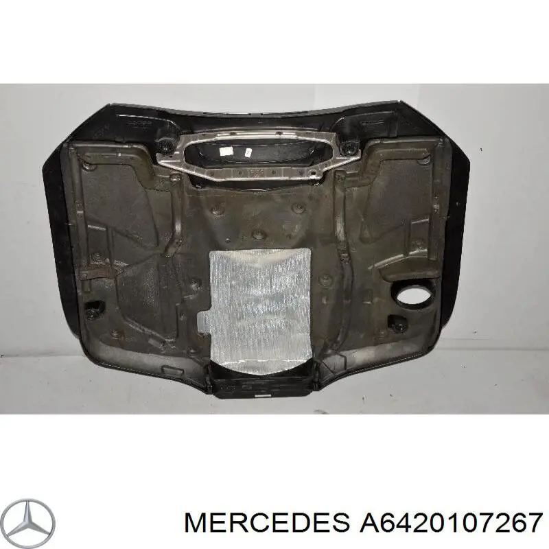 6420107267 Mercedes 