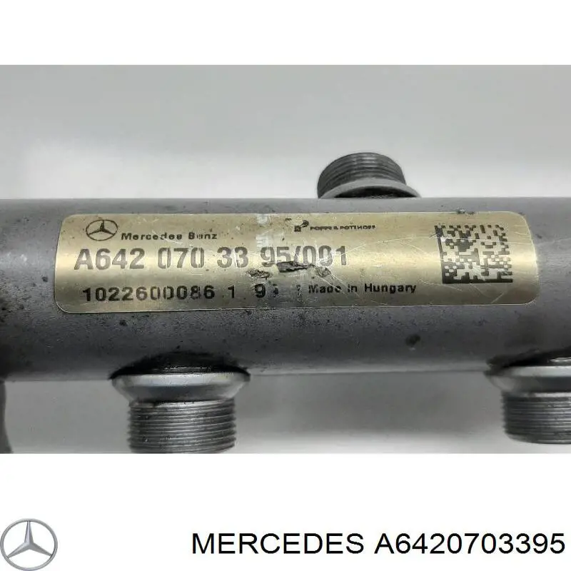 Распределитель топлива (рампа), левый Mercedes 6420703395