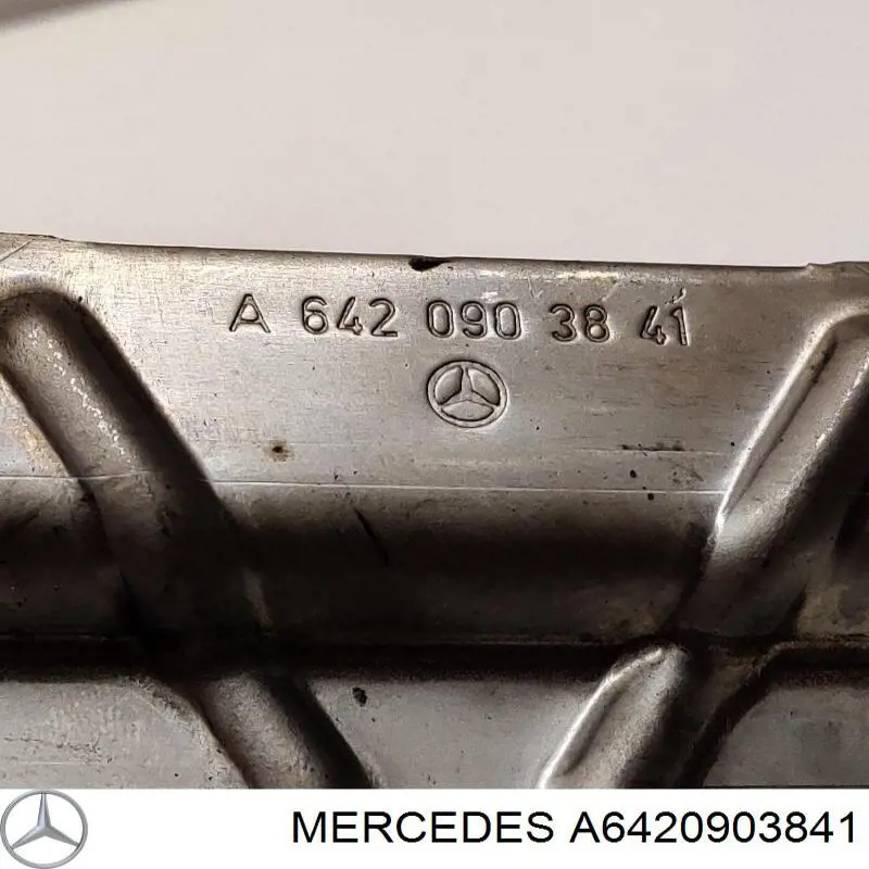  A6420903841 Mercedes