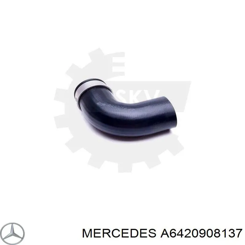  6420908137 Mercedes