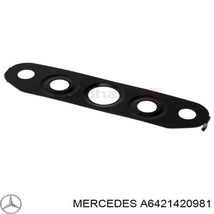 A6421420981 Mercedes vedante de mangueira de fornecimento de óleo de turbina