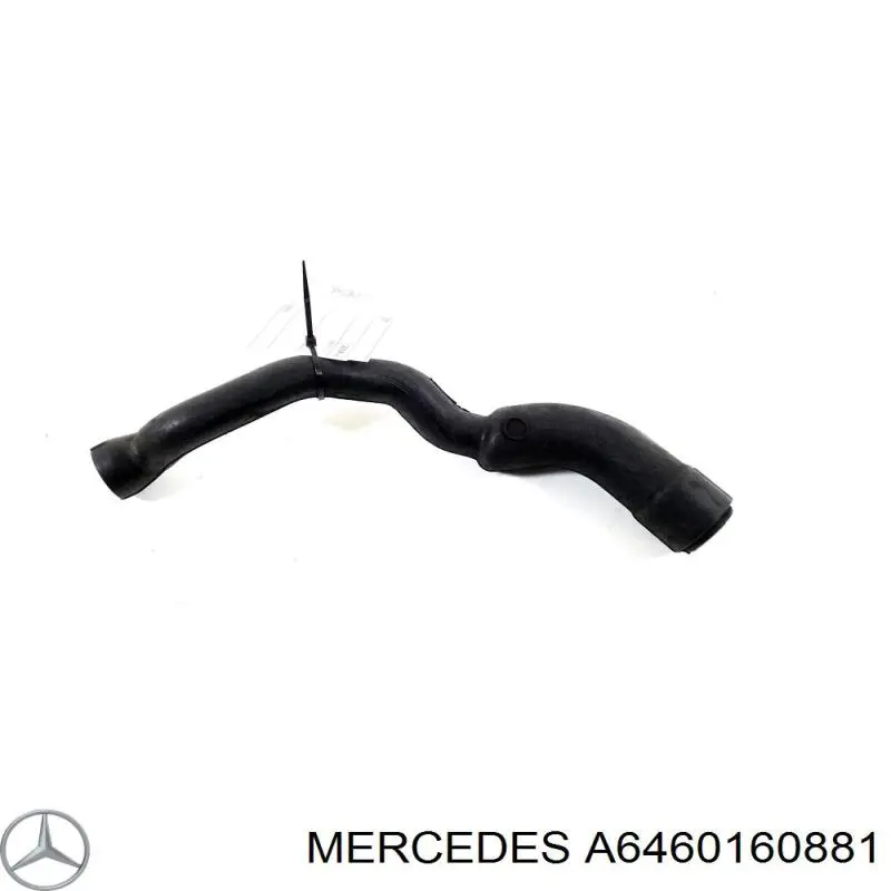 A6460160881 Mercedes патрубок вентиляции картерных газов