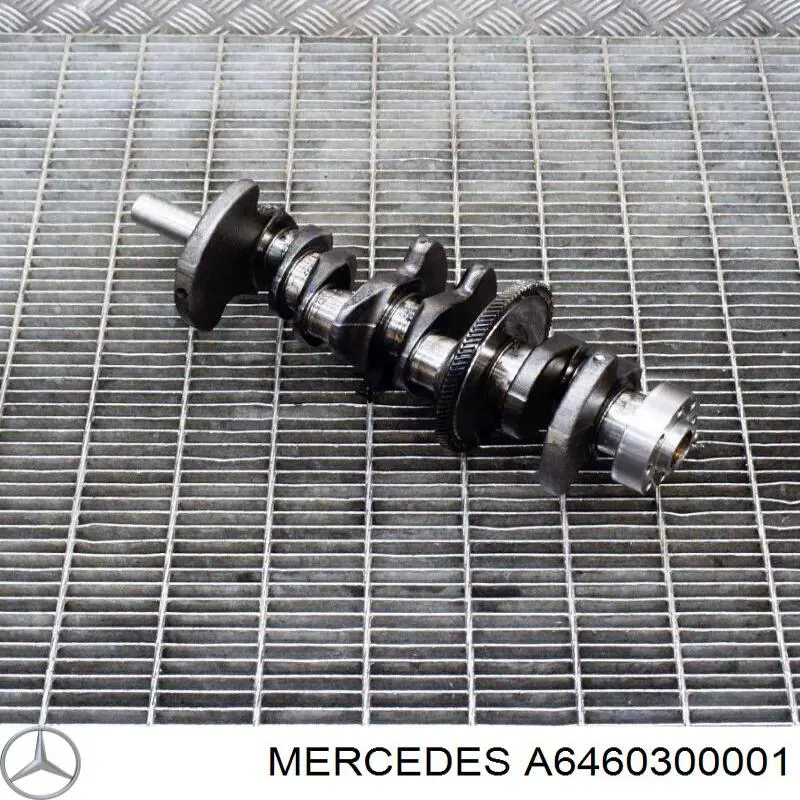  6460300001 Mercedes