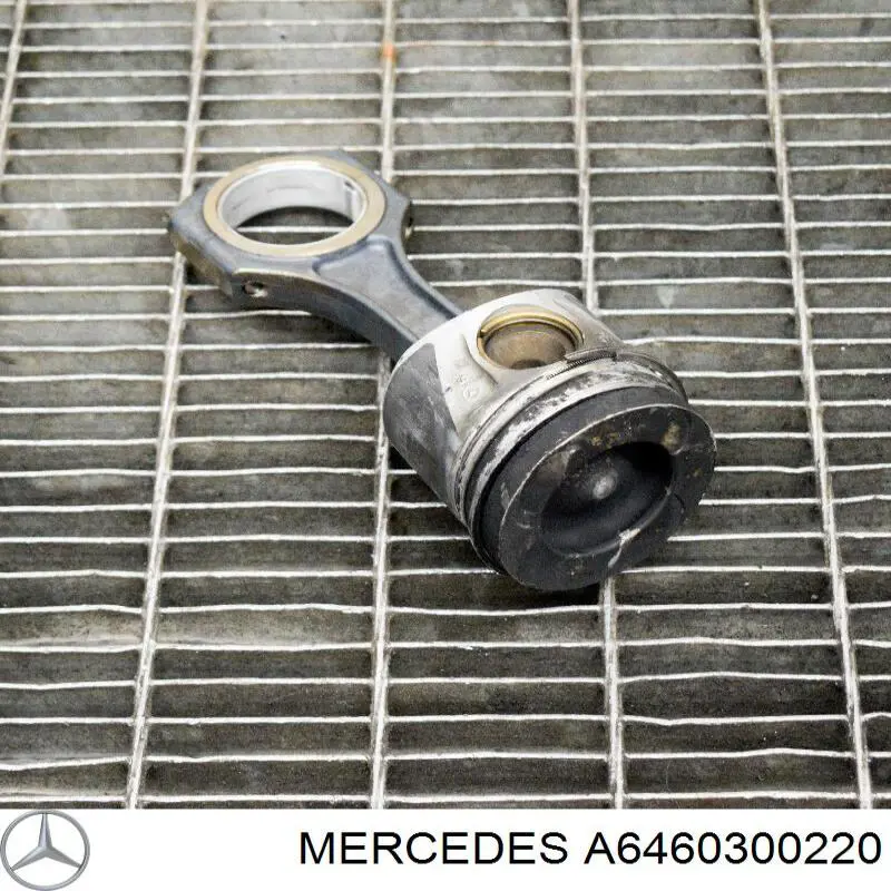 A6460300220 Mercedes