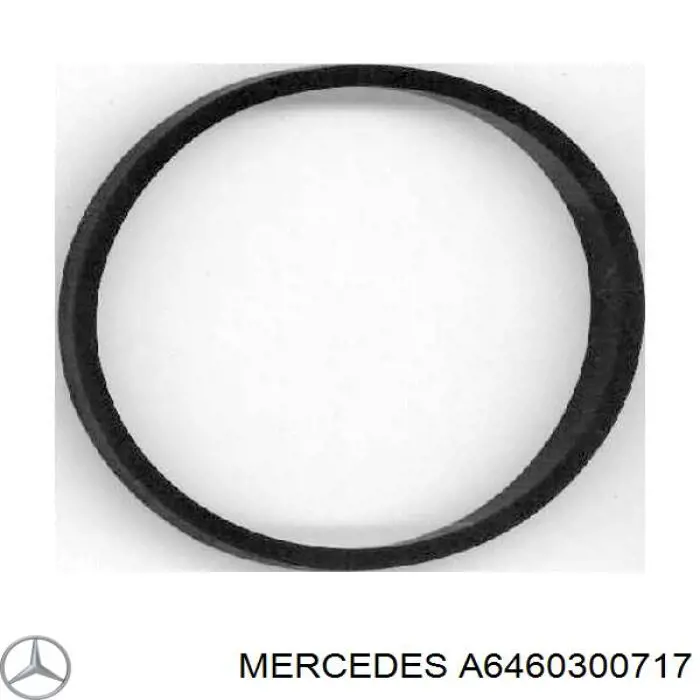 6460300717 Mercedes поршень в комплекте на 1 цилиндр, 2-й ремонт (+0,50)