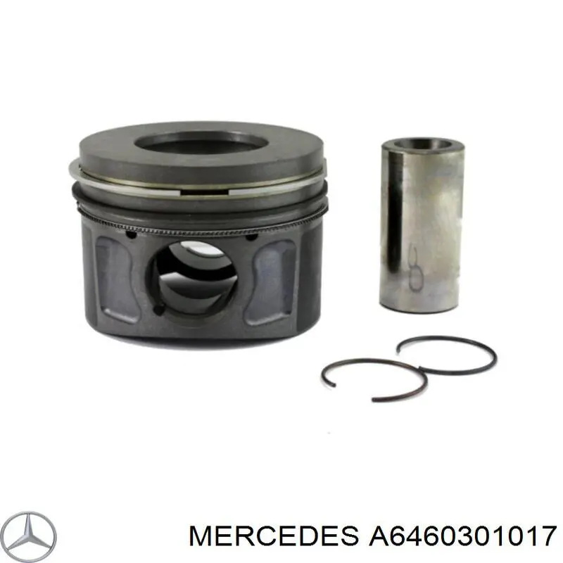 6460301017 Mercedes 