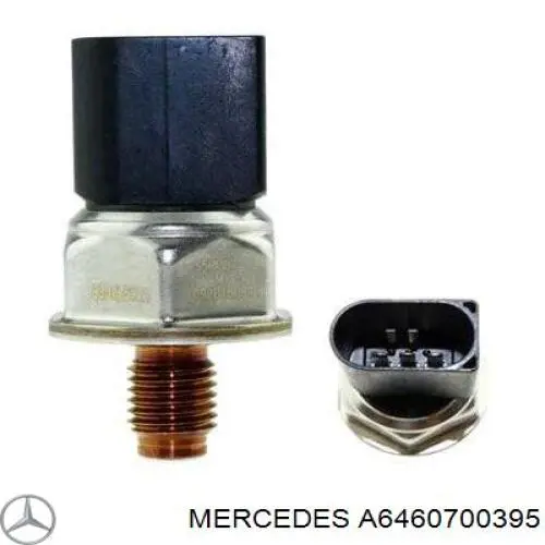 A6460700395 Mercedes распределитель топлива (рампа)