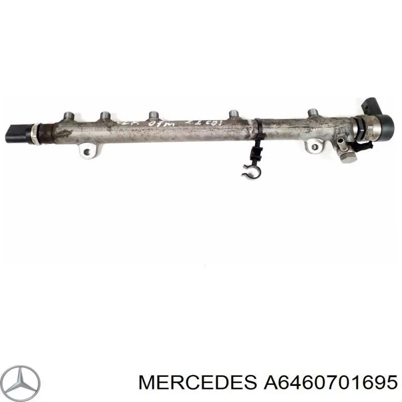 6460701695 Mercedes distribuidor de combustível (rampa)