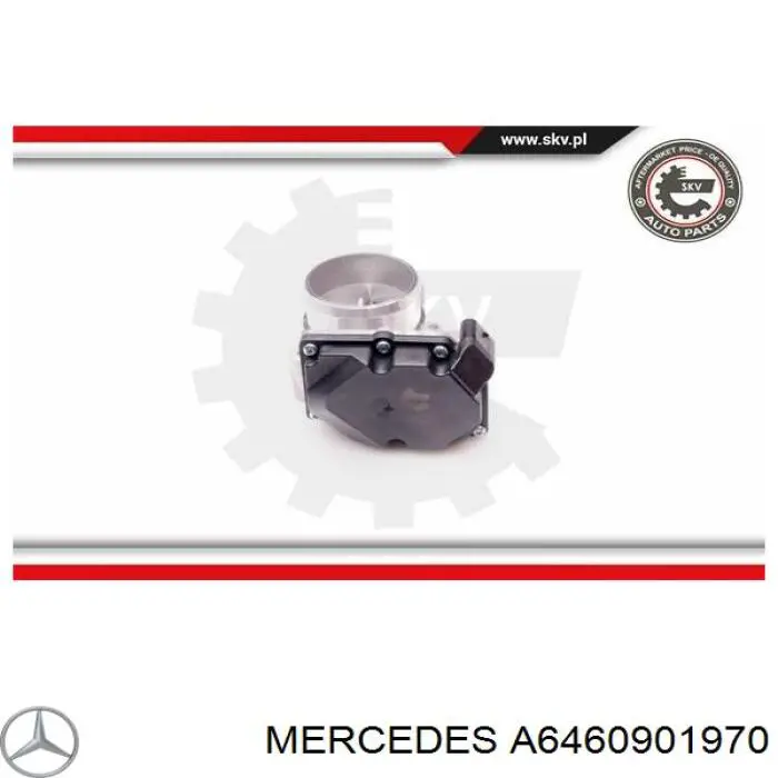 A6460901970 Mercedes válvula de borboleta montada