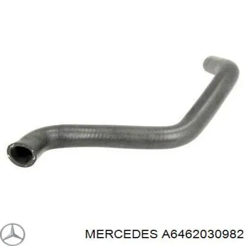  6462030982 Mercedes