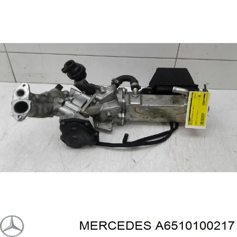 A6510100217 Mercedes