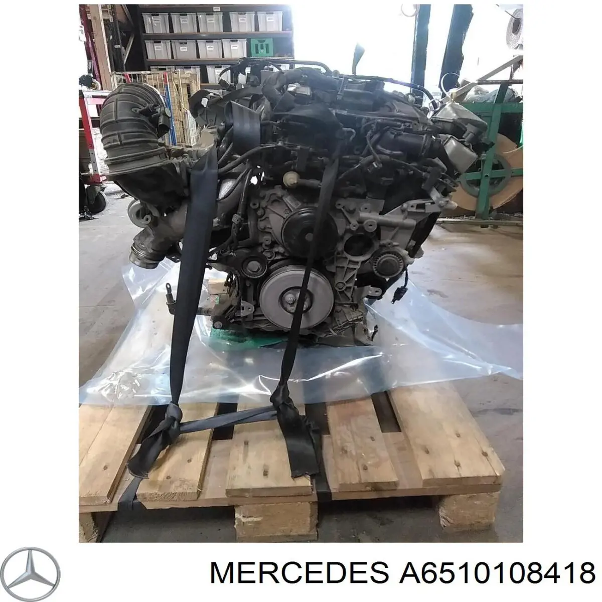 Cabeça de motor (CBC) 50003126 Kolbenschmidt