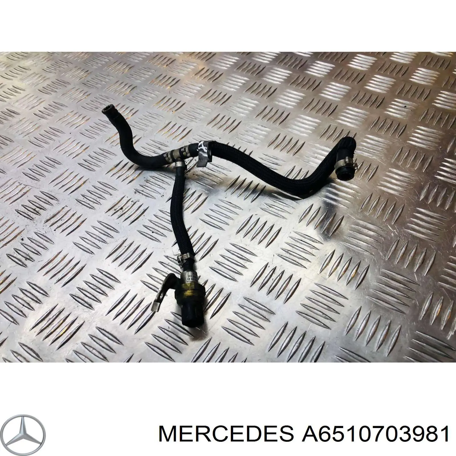  6510703981 Mercedes