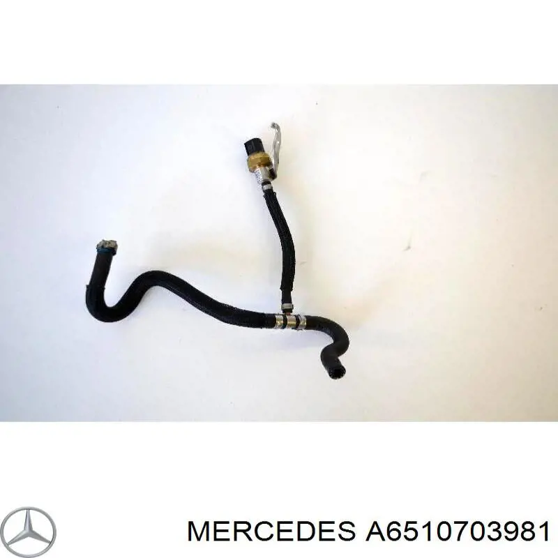A6510703981 MERCEDES Tubo De Combustible, Filtro Hasta La Bomba original y equivalente