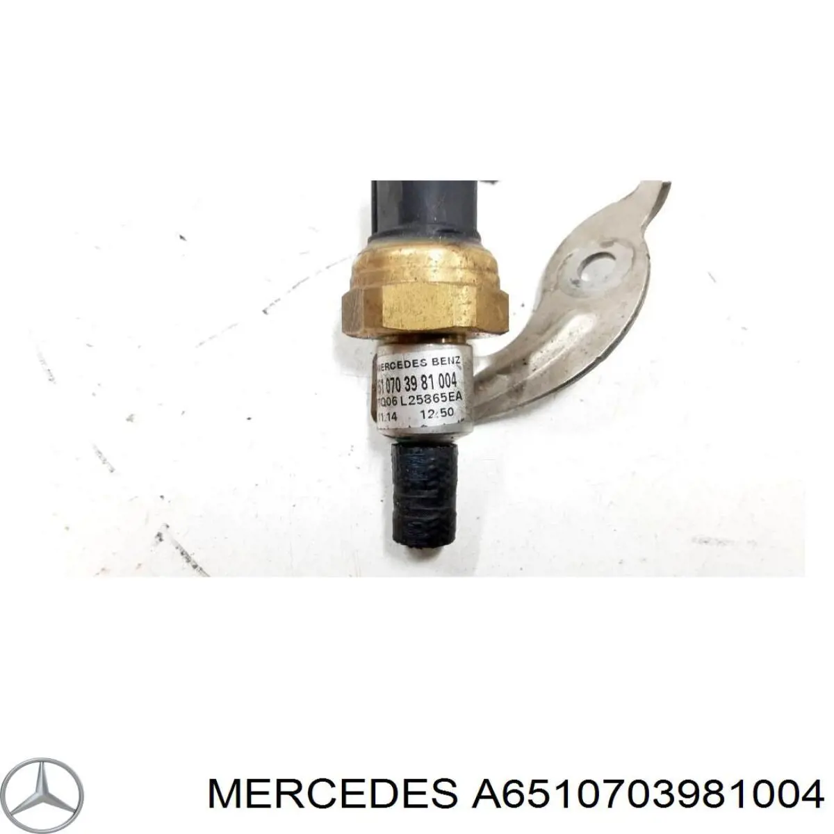 A6510703981004 Mercedes 