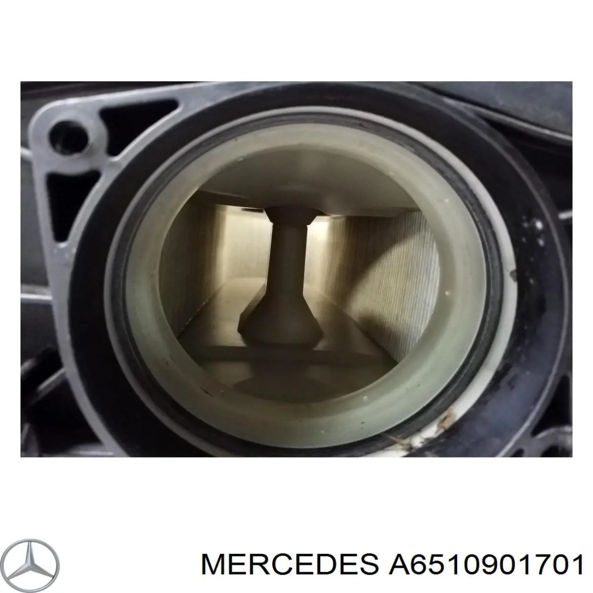 Купить 6510901701 Mercedes Корпус воздушного фильтра