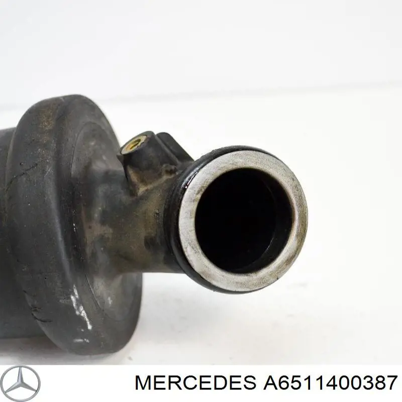  Mercedes A6511400387