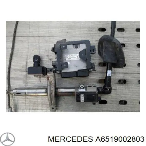 A6519002803 Mercedes Мозги двигателя