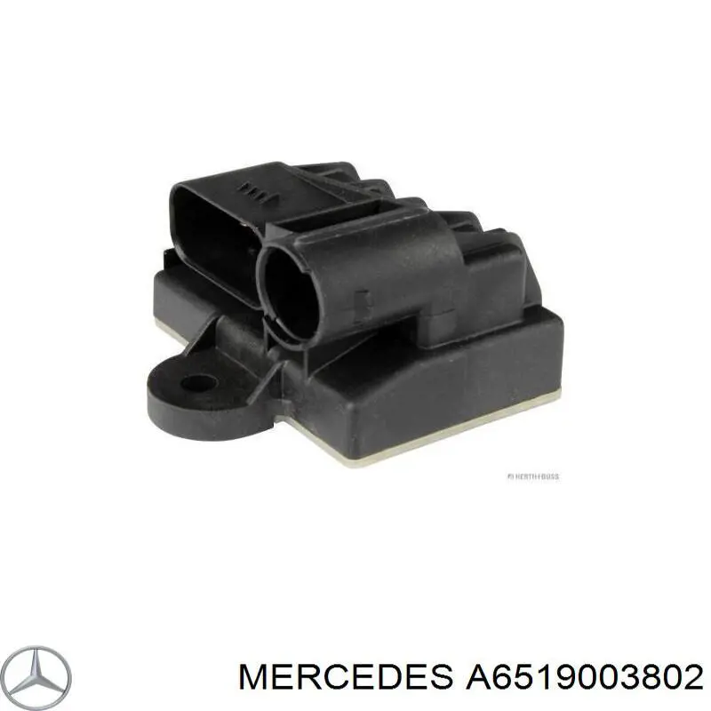 Реле свечей накаливания Mercedes A6519003802