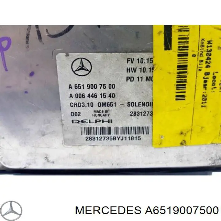 A6519007500 Mercedes Мозги двигателя