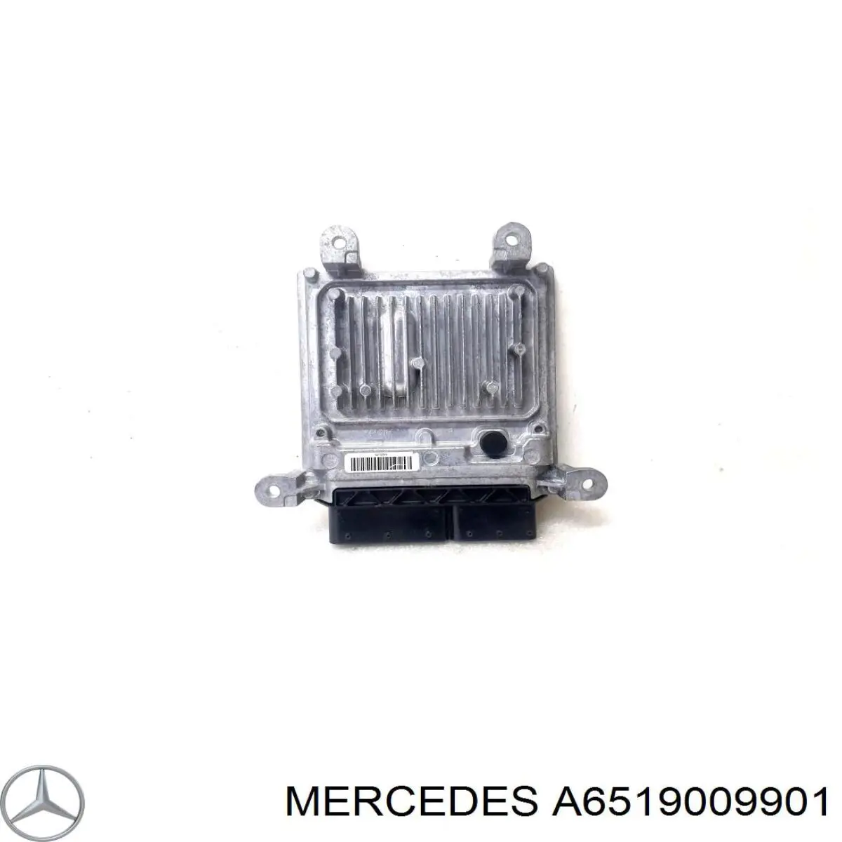 A6519009901 Mercedes Мозги двигателя