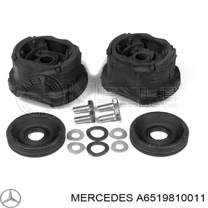6519810011 Mercedes Балансировочный вал